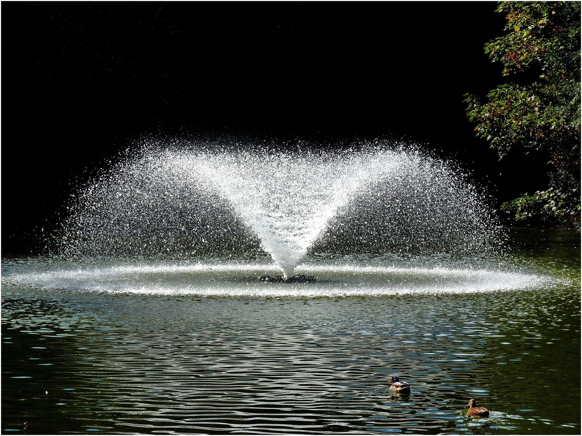 A fountain of light