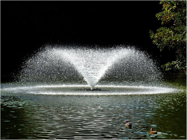 A fountain of light